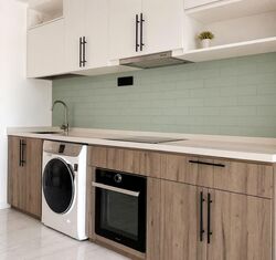 The Alps Residences (D18), Condominium #587759011